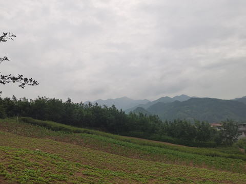 秦岭远山