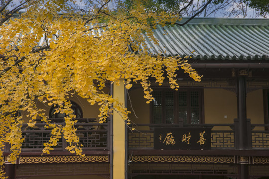 庐山东林寺