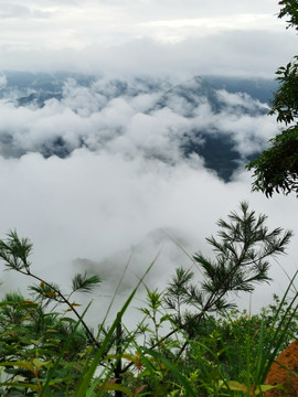 苏马荡云海