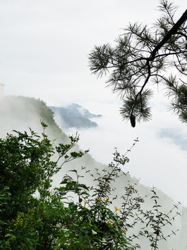 云海云雾缭绕山中云雾