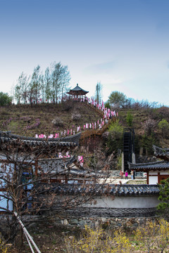 東北朝鮮族民居