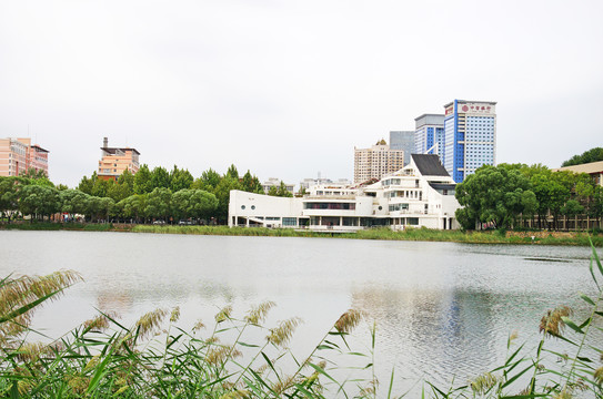 天津大学