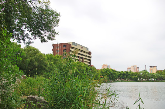 天津大学