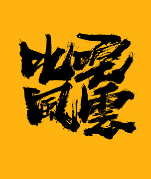 叱咤風(fēng)云