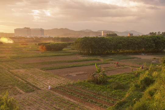 农田大地风景