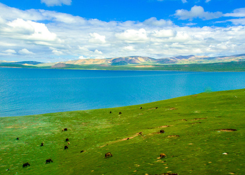 西藏羊湖羊卓雍错