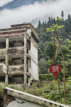 汶川特大地震漩口中学遗址