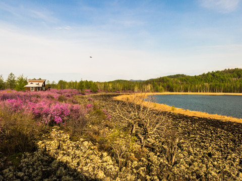 森林杜鹃花火山岩堰塞湖