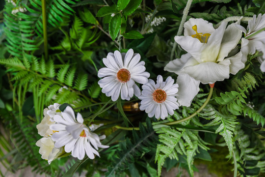 家居花艺