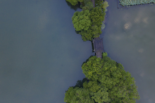 杭州西湖十景曲院风荷