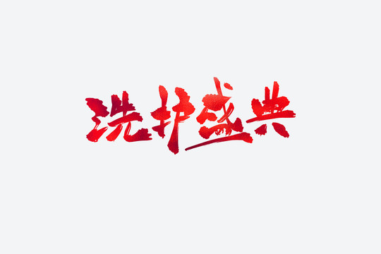 洗護盛典電商促銷書法藝術(shù)字