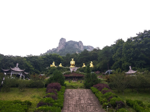 大山绿草丛林