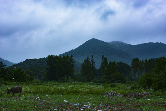 山区农村