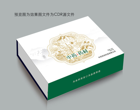 中藥藥材黃芪黨參矢量圖