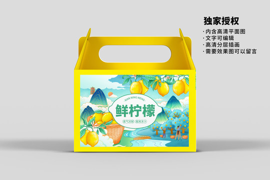 檸檬禮盒設(shè)計(jì)