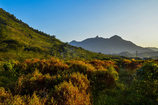 鸡枕山