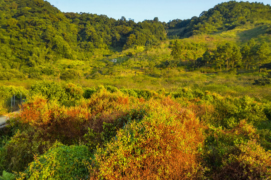 鸡枕山