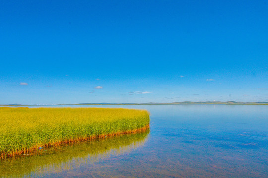 花湖风景区