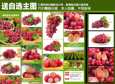 紅提詳情頁