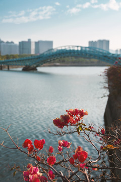 厦门五缘湾湿地公园