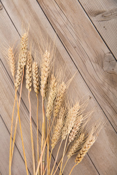 木板背景上摆着一排成熟的麦穗