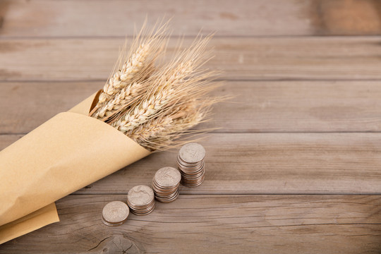 成熟的小麦麦穗和一排美元硬币
