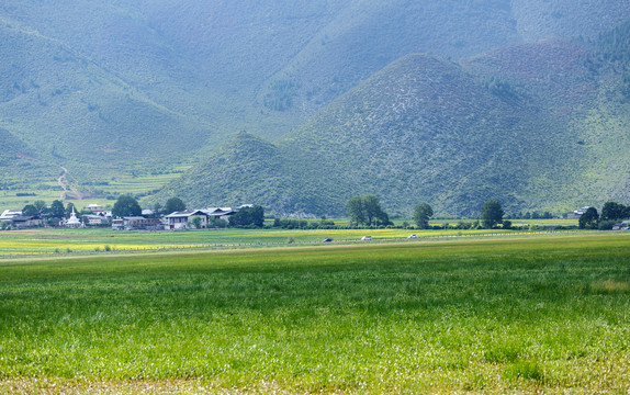 香格里拉纳帕海依拉草原