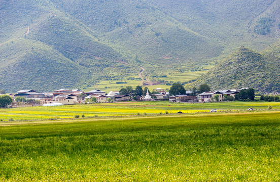 香格里拉纳帕海依拉草原