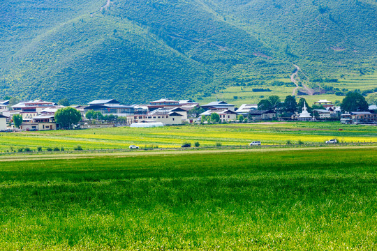 香格里拉纳帕海依拉草原