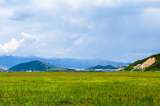 香格里拉纳帕海依拉草原