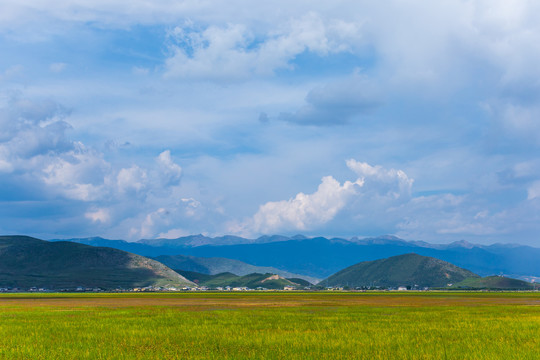 香格里拉纳帕海依拉草原