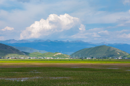 香格里拉纳帕海依拉草原