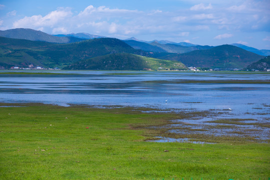 香格里拉纳帕海依拉草原