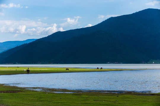 香格里拉纳帕海依拉草原