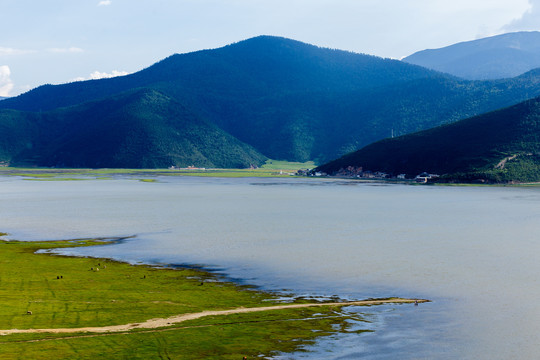 香格里拉纳帕海依拉草原