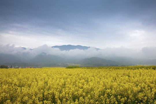 田园风光