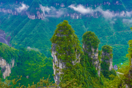 高山丘陵