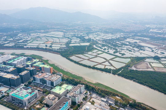 深圳河