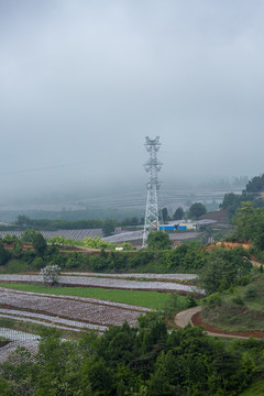 田园风光