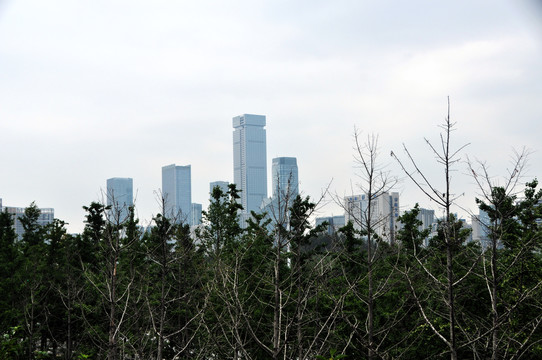 城市高楼被绿色包围