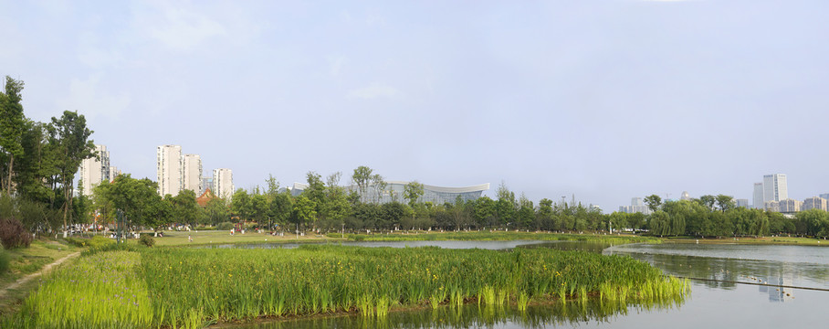 成都锦城湖湿地风光全景图