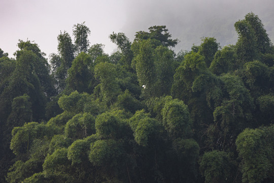 桂林阳朔山水