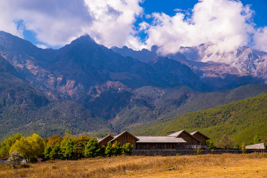 亚高山牧场