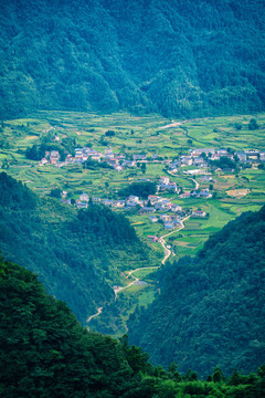 张家界天门山后院田园风光