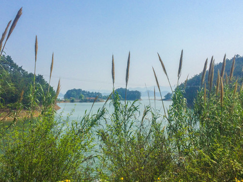 千岛湖风光壁纸