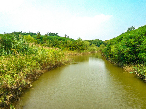 上海吴淞炮台湾国家湿地公园