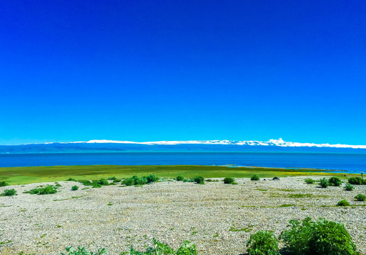 青海湖