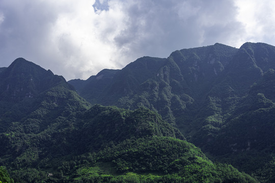 绿色山岭