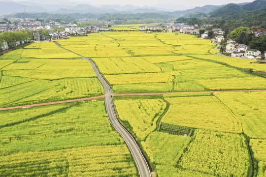 田园风光