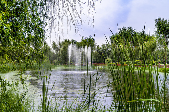 中国长春百花园夏季风景